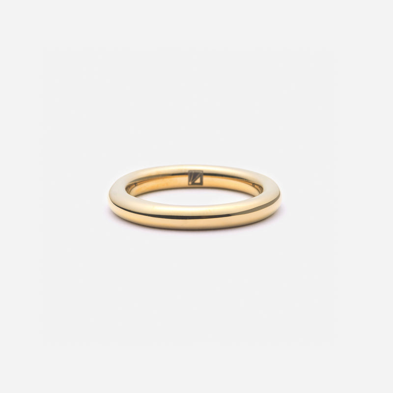 R119 stainless – fat ring - gold
