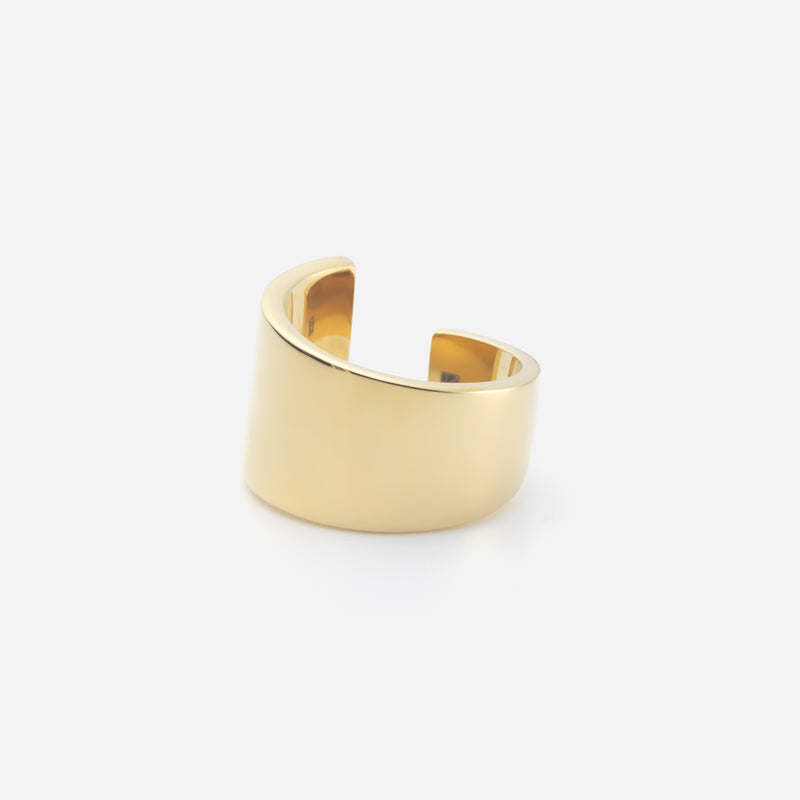 R113 stainless – plate ring - gold