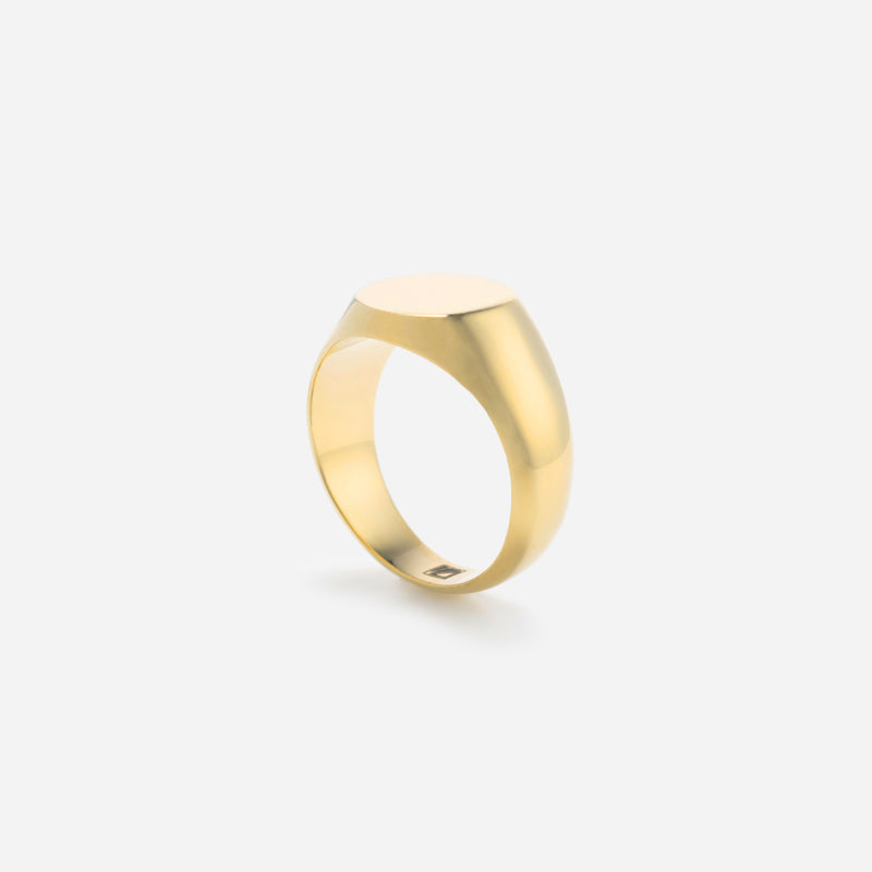 R104 stainless - Sirius ring - gold
