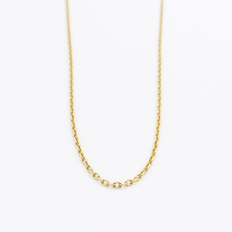 P107 stainless - chain necklace - gold