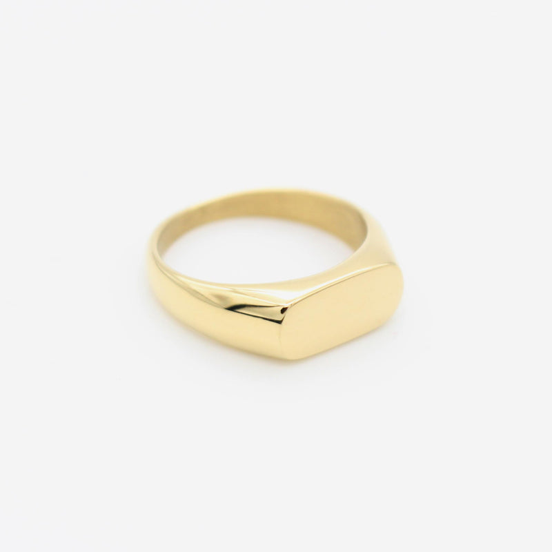 R86 stainless - signet ring - gold