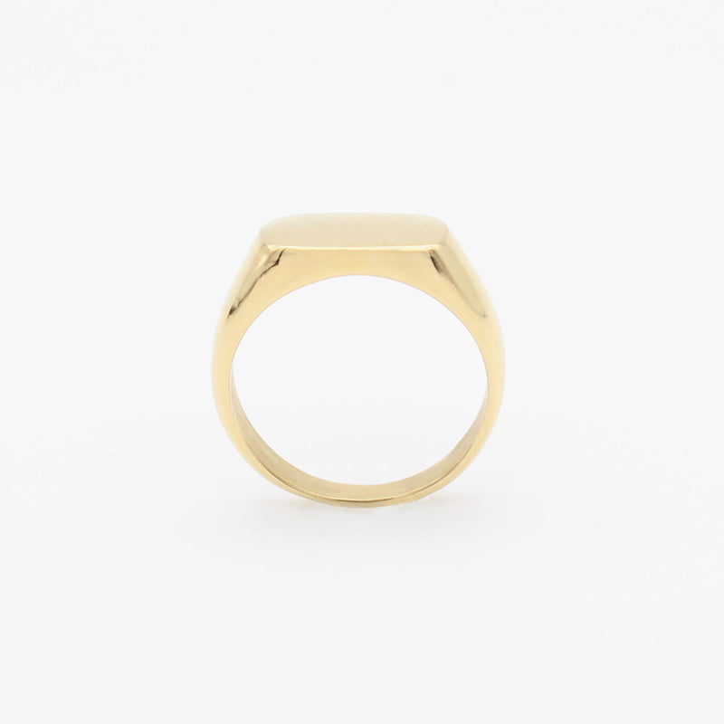 R86 stainless - signet ring - gold